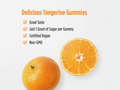 Nordic Naturals Extra Strength Vitamin C 500mg, Tangerine - 60 Gummies