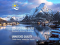 A scenic landscape print of a snowy mountain range over a calm fjord with a small village and red houses, overlaid with marketing text and a yellow sun-and-wave logo.