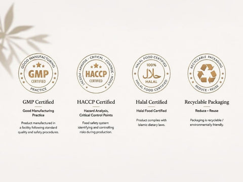 Four certification logos and labels on a light beige background: GMP Certified, HACCP Certified, Halal Certified, and Recyclable Packaging, with brief descriptions underneath.