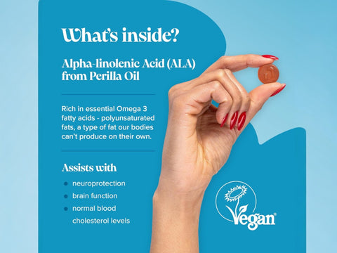 Novomins Nutrition Vegan Omega 3-6-9 Gummies 60 Orange Flavoured Gummies ingredient infographic featuring plant based omega 3 6 and 9