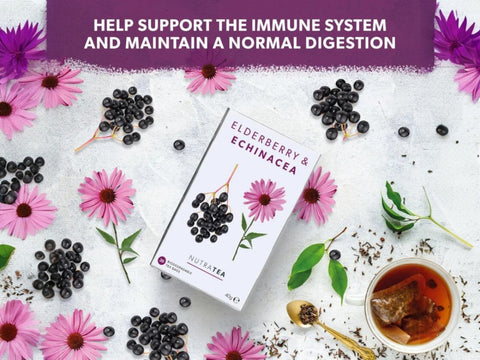 Nutra Tea Elderberry & Echinacea Herbal Tea 20 Biodegradable Bags 40g front box packaging laying down