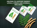 Moringa Leaf Ashwagandha tea packages with leaves and roots on a dark surface, promoting energy levels and wellness.