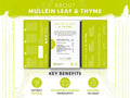 Nutra Tea Mullein Leaf & Thyme Herbal Tea 20 Biodegradable Bags 40g side packaging with key benefits detail