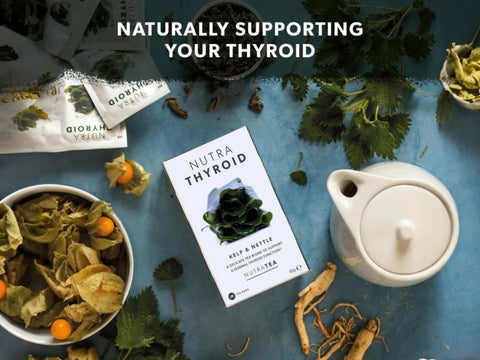 Nutra Tea Nutra Thyroid Kelp & Nettle Herbal Tea 20 Biodegradable Bags 40g front box packaging laying down