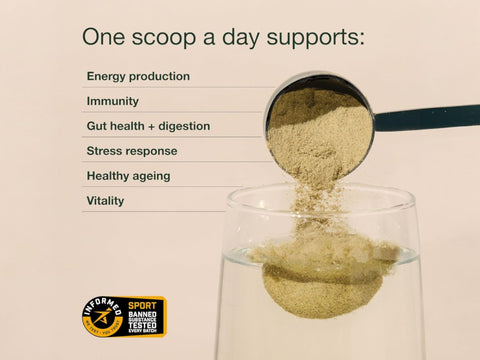 Nuzest Good Green Vitality Greens Powder, Superfood Drink