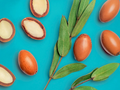 Argan seeds and leaves on a blue background