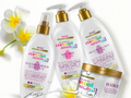 Set of hair care products with coconut oil branding on a white background