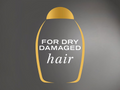 Bottle shape icon with 'For Dry Damaged Hair' text on a gray background