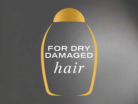 Bottle shape icon with 'For Dry Damaged Hair' text on a gray background