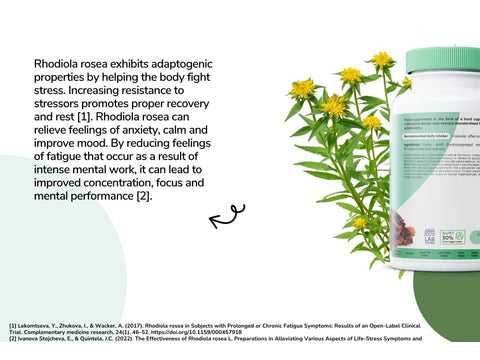 Osavi Rhodiola Rosea 400mg Root Extract - Standardized 3% - 120 Vegan Caps