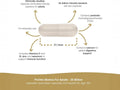 Supplement Facts & Ingredients Image: ProVen probiotics adults ingredients label 30 capsules size