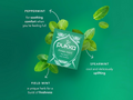 Pukka three mint tea packaging with mint leaves on a green background