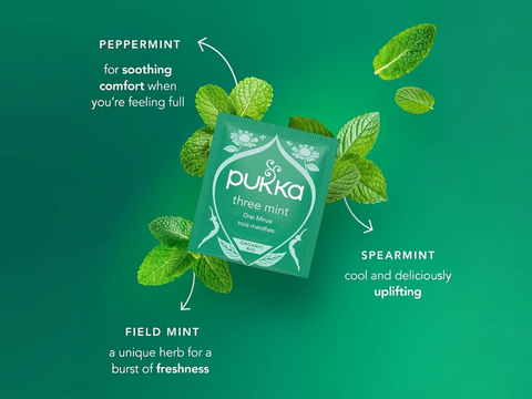 Pukka three mint tea packaging with mint leaves on a green background