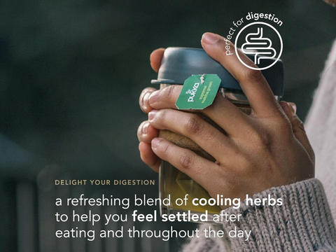 Person holding a jar labeled 'Pukka' with text about digestive health and herbs.