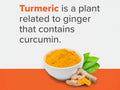 Qunol Liquid Turmeric Extra Strength – 1000 mg 