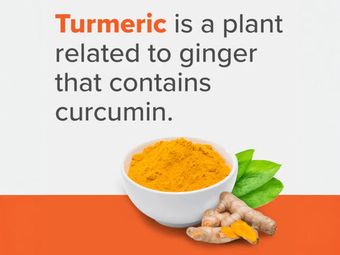 Qunol Liquid Turmeric Extra Strength – 1000 mg 