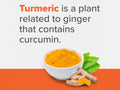 Qunol Liquid Turmeric Extra Strength – 1000 mg 