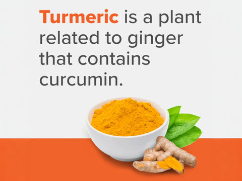 Qunol Liquid Turmeric Extra Strength – 1000 mg 