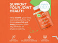 Qunol Turmeric and Ginger Gummies 550 mg 60 count joint and antioxidant support benefits graphic
