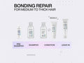 Redken Acidic Bonding Concentrate Shampoo bottle, 300ml, formulation routine.