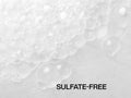 Redken Frizz Dismiss Shampoo bottle, sulfate-free, formulation.