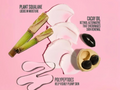 Cosmetic ingredients with text on a pink background