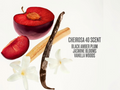 Fragrance ingredients including a red plum, vanilla bean, and jasmine flowers with product name 'Cheirosa 40 Scent' on a white background.