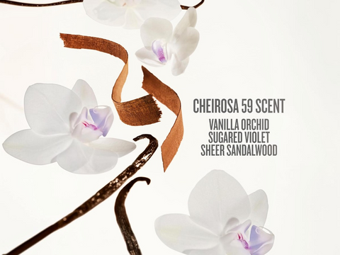 White orchids with a brown ribbon and vanilla bean on a white background, featuring the Cheirosa 59 scent description.