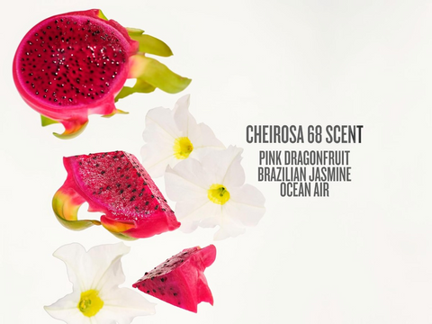 Pink dragonfruit slices and white flowers with product description text on a white background