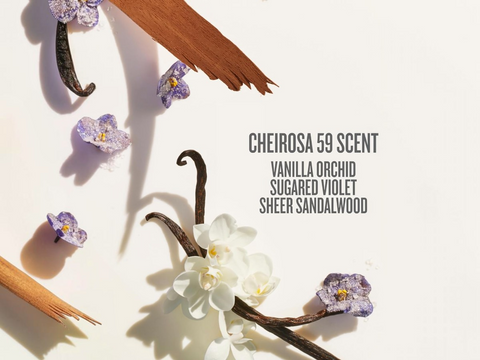 Vanilla orchid, sugared violet, and sheer sandalwood flowers with a stick on a white background.