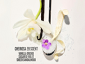 Vanilla orchid scented product with white flowers and a purple flower on a light background