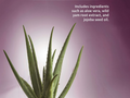 Aloe vera plant with text about ingredients on a purple background
