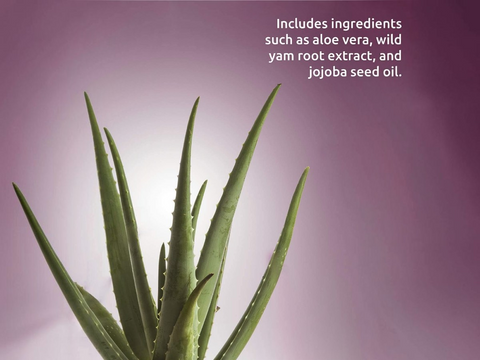 Aloe vera plant with text about ingredients on a purple background