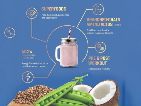Sunwarrior Plant-Based Protein Powder, Chocolate Flavoured