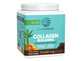 Sunwarrior Plant-Based Collagen Protein Powder 500g Tub - Chocolate Fudge Flavour