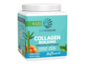Sunwarrior Plant-Based Collagen Protein Powder 500g Tub - Unflavoured 