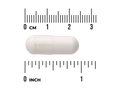 Beige capsule pill with a ruler for scale on a white background