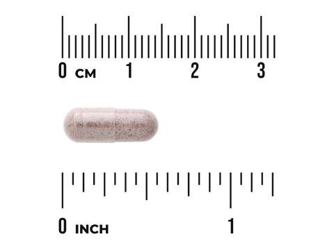 Swanson Arjuna Bark – 500 mg Standardized Extract – 60 Vegan Capsules capsule size comparison with measurement scale