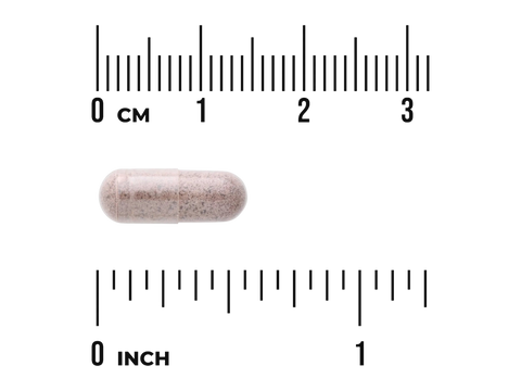Swanson Arjuna Bark Extract – 40 mg Terminalia Arjuna – 60 Capsules capsule size comparison with measurement scale