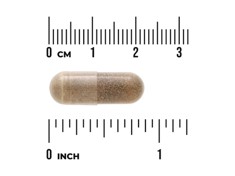 Capsule with a ruler showing its size in centimeters and inches on a white background