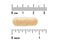 Beige pill with a ruler showing its size in centimeters and inches on a white background