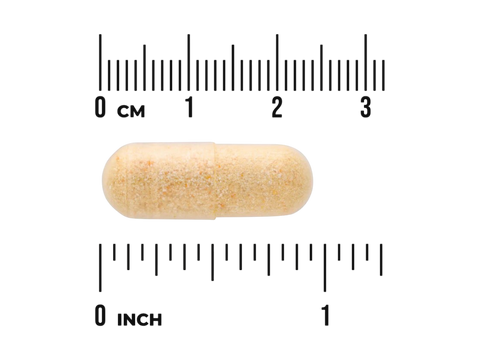 Beige pill with a ruler showing its size in centimeters and inches on a white background