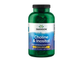 Swanson Choline & Inositol supplement bottle on a white background