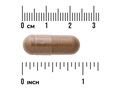 Swanson Cordyceps 600 mg Capsules – 120 Count capsule size comparison with measurement scale