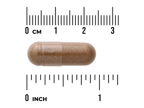 Swanson Cordyceps 600 mg Capsules – 120 Count capsule size comparison with measurement scale