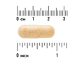 Beige pill with a ruler showing its size in centimeters and inches on a white background
