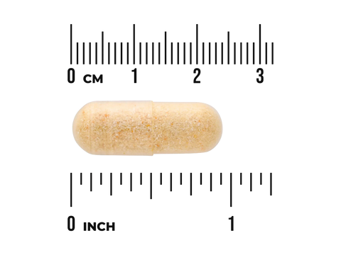 Beige pill with a ruler showing its size in centimeters and inches on a white background