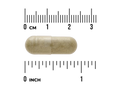 Beige capsule pill with a ruler for scale on a white background