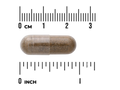 Swanson Epimedium Extract 500 mg Standardized Capsules – 120 Count capsule size comparison with measurement scale