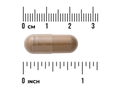Capsule with a ruler showing its size